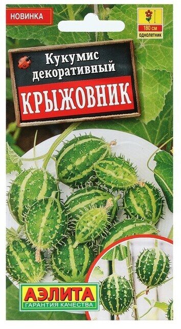 Семена Цветов Кукумис декоративный "Крыжовник", 5 шт