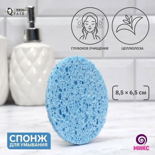 Спонж для умывания Овал малый 85 65 см цвет микс 215₽