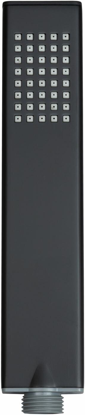 Душевая лейка Allen Brau Infinity 5.21022-31 черный матовый - фото №2