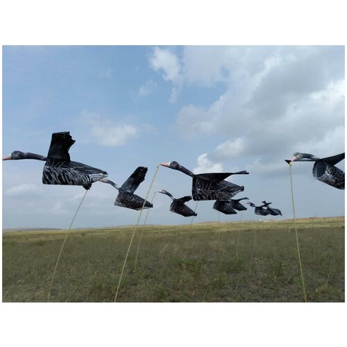фото Чучела белолобого гуся 2 штуки - флюгер с крыльями, летающее kaz.goose.stepok