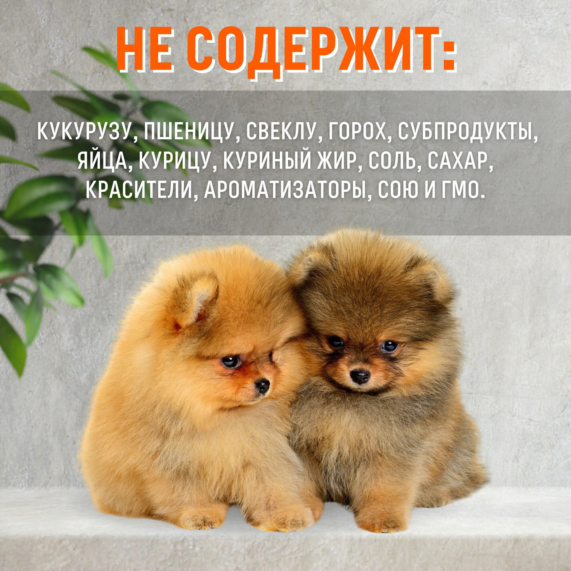 Grandorf Medium & Maxi Junior корм для юниоров средних и крупных пород (Ягненок и индейка, 10 кг.) - фото №8