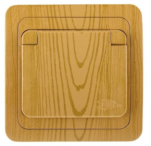 фото Розетка СВЕТОЗАР SV-54110-A, 16 А, с заземлением