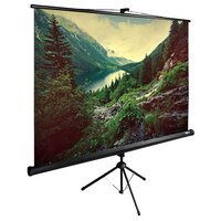 Экран Cactus 220x220см TriExpert CS-PSTE-220x220-BK 1:1 напольный рулонный черный