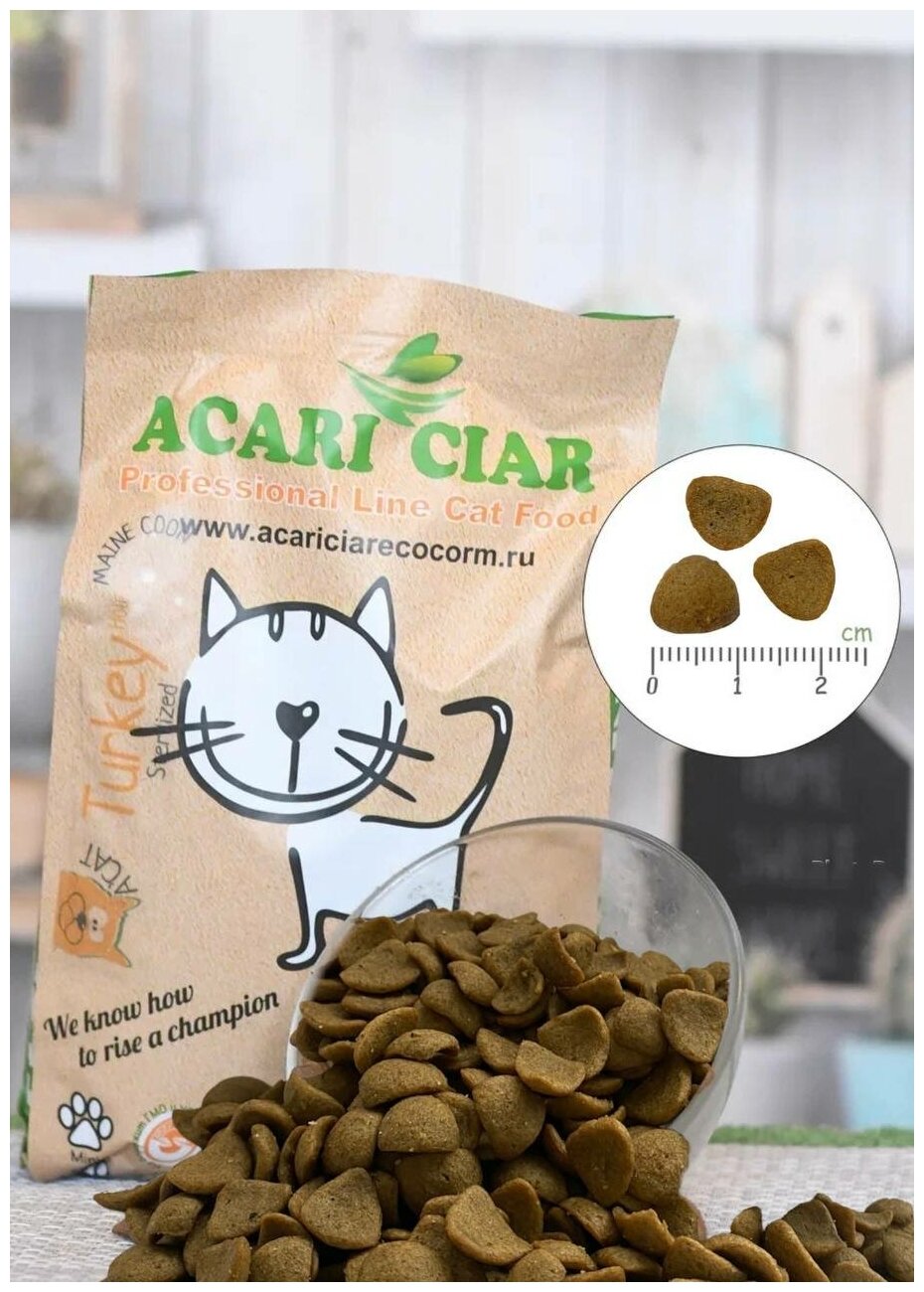 Сухой корм Acari Ciar для стерилизованных кошек породы Мейн-Кун Vet A'Cat Sterilized Maine-Coon Turkey 1,5 кг Индейка - фотография № 5