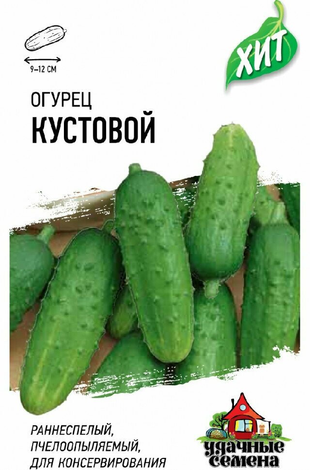 Удачные семена Огурец Кустовой 03 гр