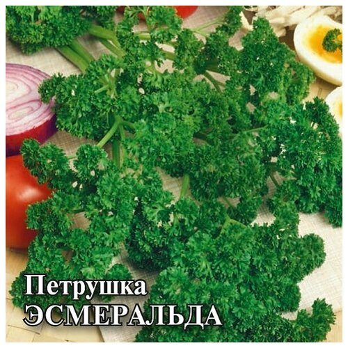 Семена. Петрушка кудрявая Эсмеральда (вес: 50,0 г)