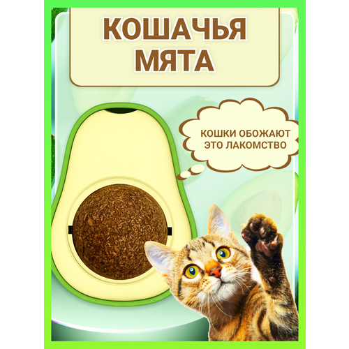 Кошачья мята шарик