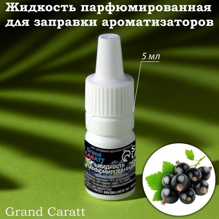 Grand Caratt Жидкость парфюмированная Grand Caratt, для заправки ароматизаторов, чёрная смородина, 5 мл