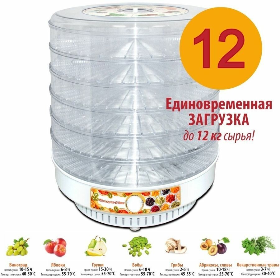 Сушилка для овощей и фруктов Спектр-Прибор Ветерок-2 Люкс прозрачный 8шт