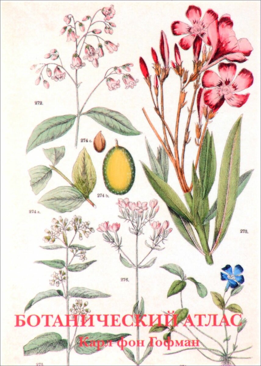 Набор открыток Ботанический атлас. Карл фон Гофман