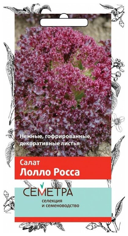 Семена Салат Лолло Росса 1гр.