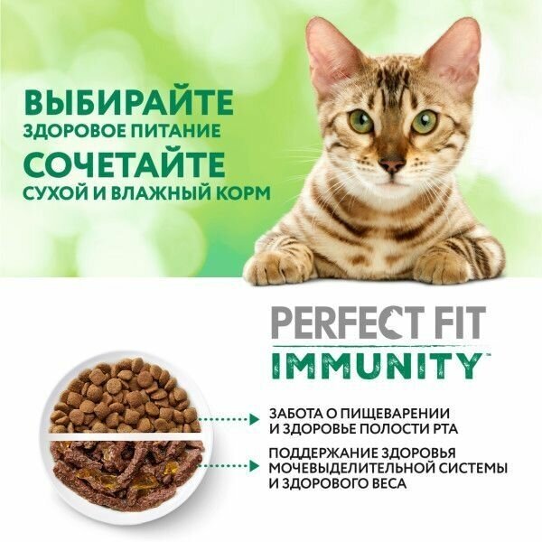 Perfect Fit Immunity влажный корм для иммунитета кошек, говядина в желе и семена льна (28 шт в уп), 75 гр. - фотография № 9