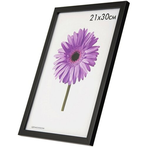 Фоторамка MARIA 210х300мм черная пластик