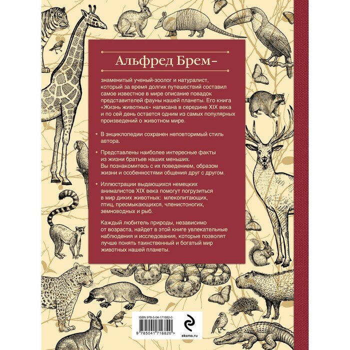Жизнь животных. Большая иллюстрированная энциклопедия - фото №17