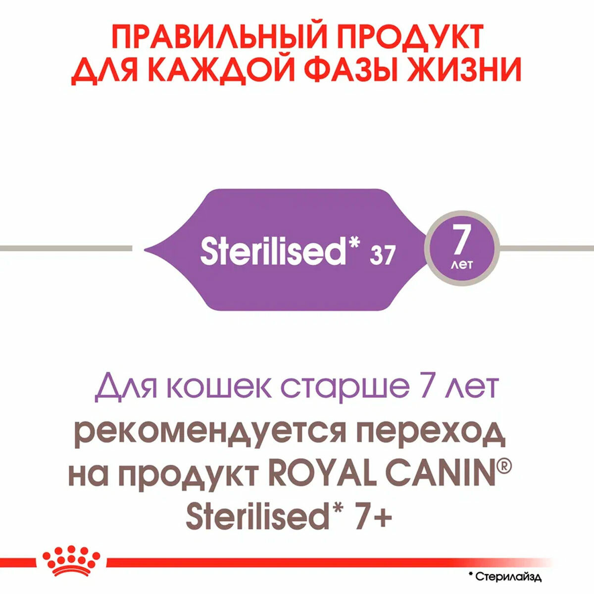 ROYAL CANIN STERILISED 37 для взрослых кастрированных котов и стерилизованных кошек (0,2 + 0,2 кг) - фотография № 6