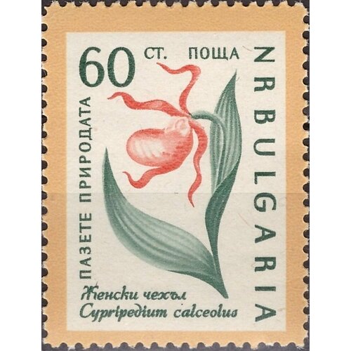 (1960-030) Марка Болгария Венерин башмачок Охрана природы. Цветы I Θ