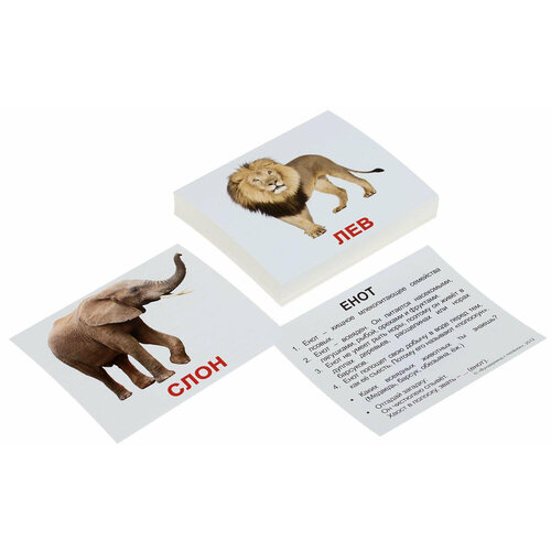Обучающие карточки Домана Вундеркинд с пеленок "Мини-40. Дикие животные", 40 развивающих двусторонних карточек