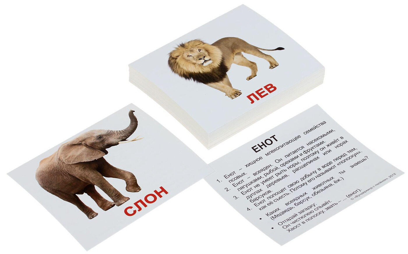 Обучающие карточки Домана Вундеркинд с пеленок "Мини-40. Дикие животные", 40 развивающих двусторонних карточек