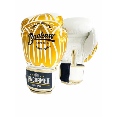 Премиальные боксерские перчатки Banchamek Gym BGL-GL3