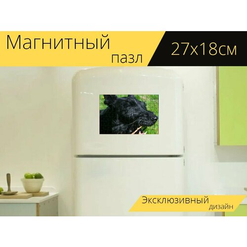 Магнитный пазл Собака, палка, шотландский терьер на холодильник 27 x 18 см. магнитный пазл палка вата ушная палка на холодильник 27 x 18 см