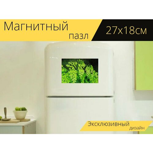 Магнитный пазл Зеленый, папоротник, лист на холодильник 27 x 18 см.