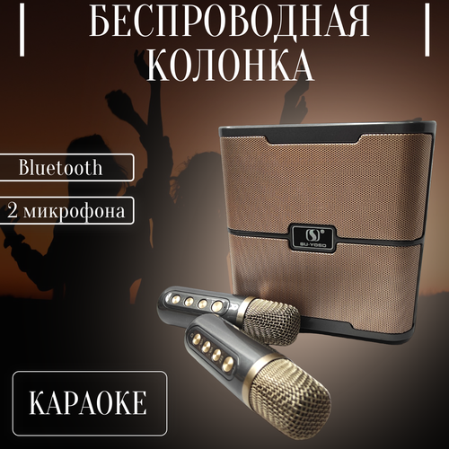 Портативная акустика Без проводная Bluetooth колонка 2 микрофона Караоке 659900₽