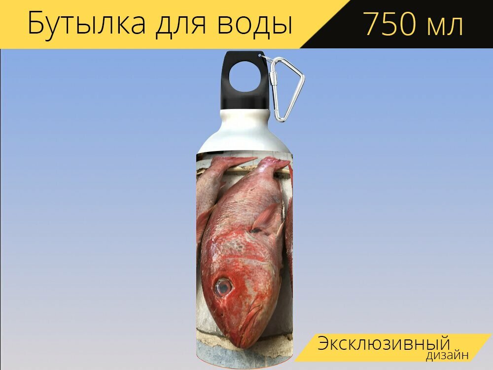 Бутылка фляга для воды "Рыбы, красная рыба, свежая рыба" 750 мл. с карабином и принтом
