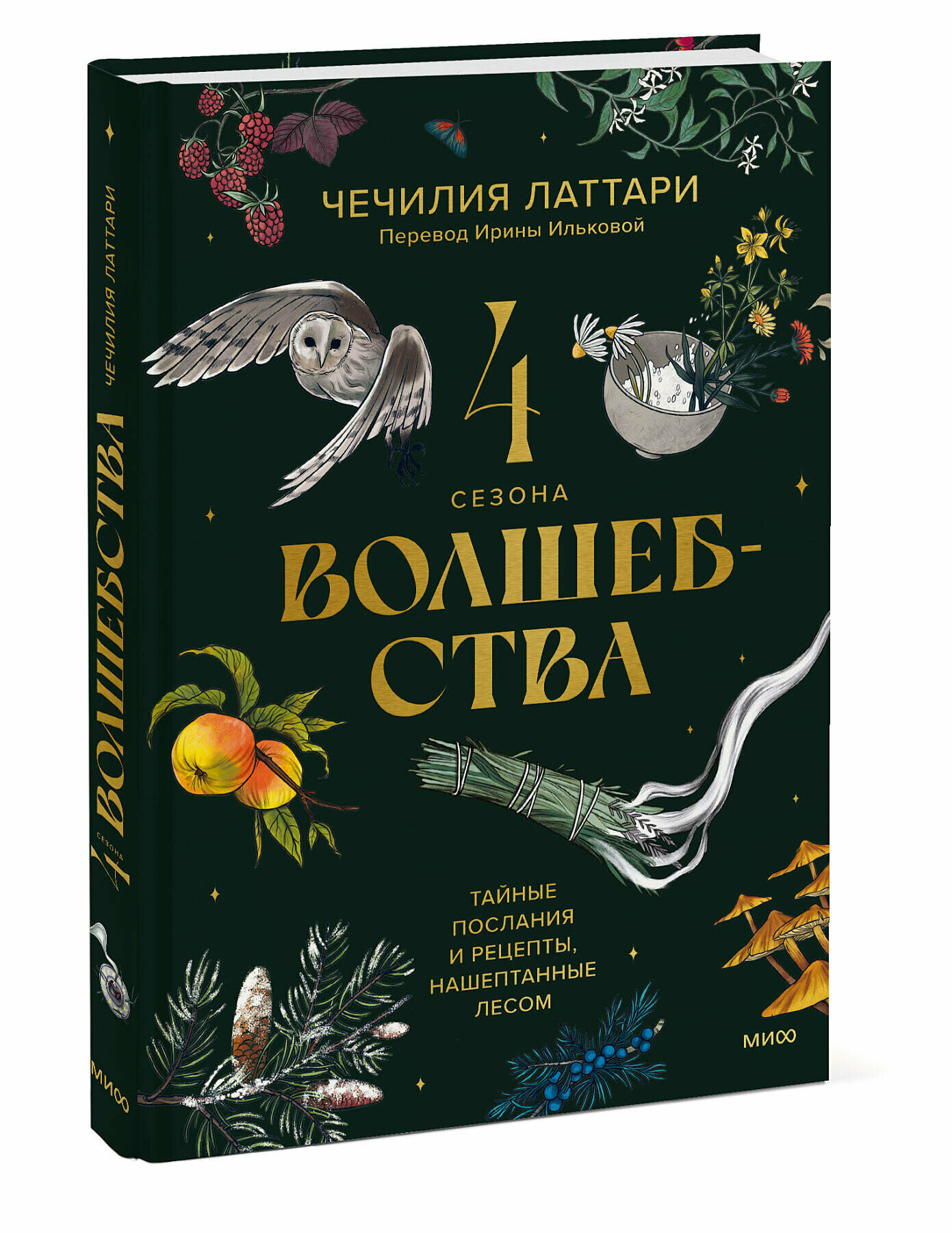 Чечилия Латтари. 4 сезона волшебства. Тайные послания и рецепты, нашептанные лесом