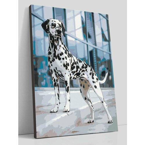 Картина по номерам на холсте Собака Далматинец, 30х40 см