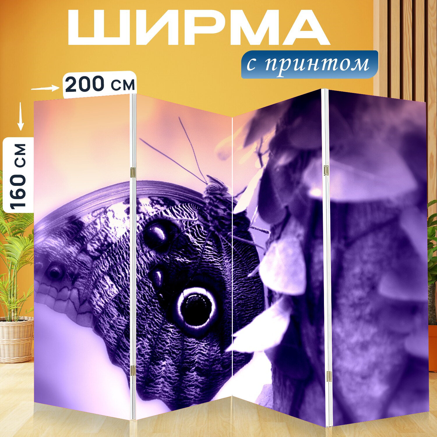 Ширма перегородка с принтом "Бабочка, листья, фиолетовый" на холсте - 200x160 см. для зонирования, раскладная