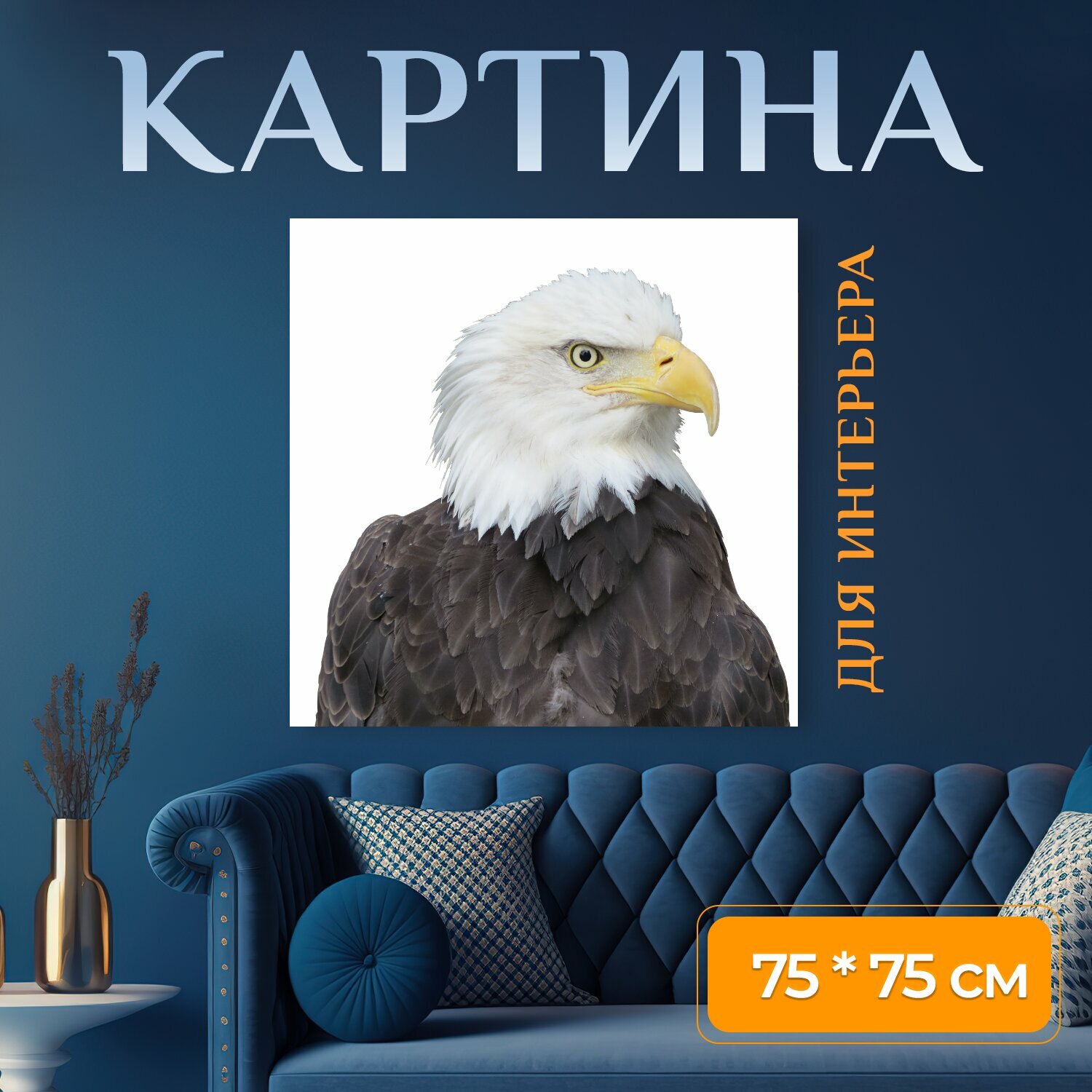 Картина на холсте "Белоголовый орлан, орел, америка" на подрамнике 75х75 см. для интерьера