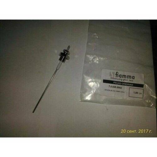 Зонд температурный 7.0.025.0002 (2,5х135 мм) для кофемашин Compass