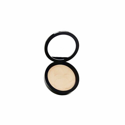 Пудра для лица Pastel Cosmetics Profashion Advanced вес 11гр 45, - 1шт