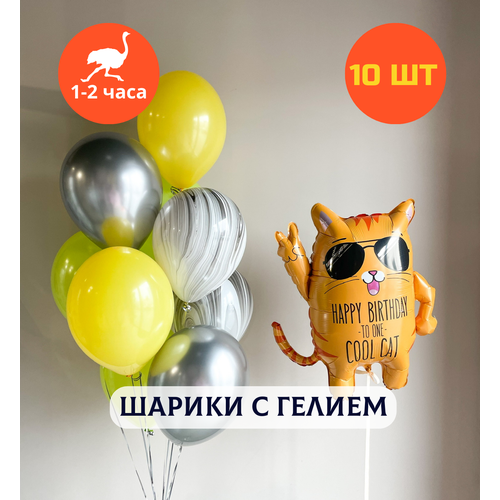 фото Шарики воздушные на день рождения, воздушные шары с гелием, шары с днем рождения, набор шаров для мужчины "стильный кот", купить шары, 10 шт
