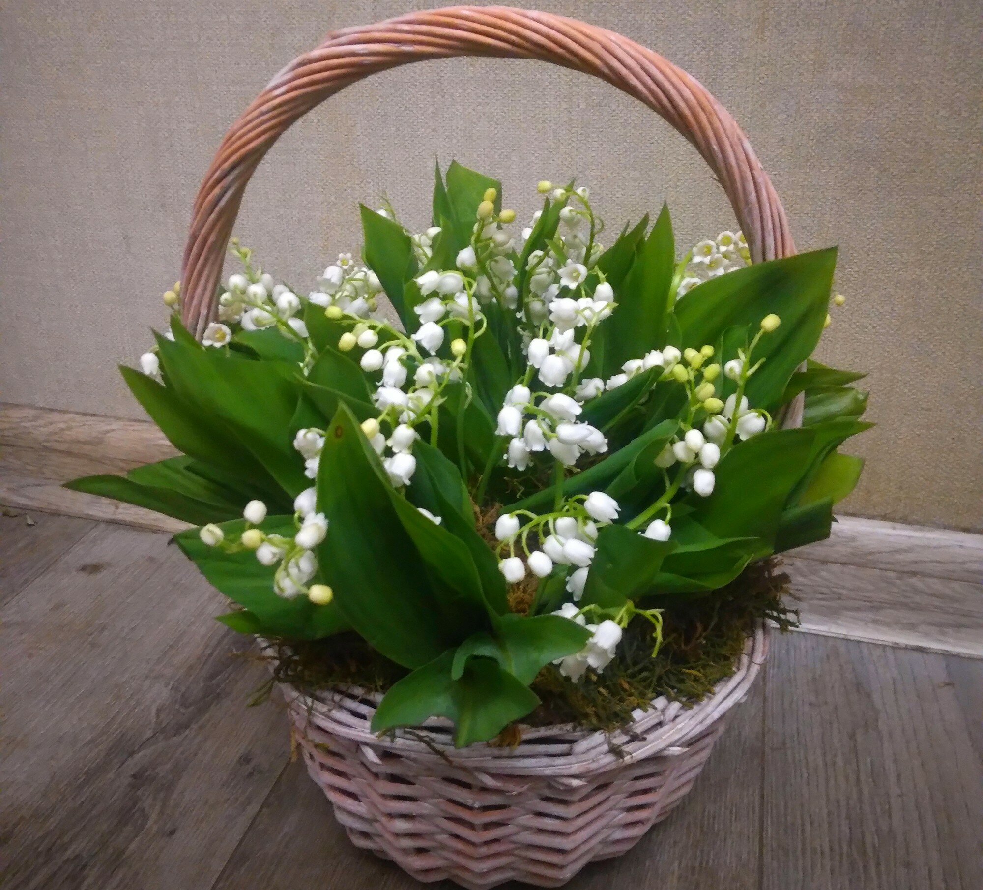 Букет Цветов "17 Ландышей" в цветочной корзине 17 ландышей высота 40 см