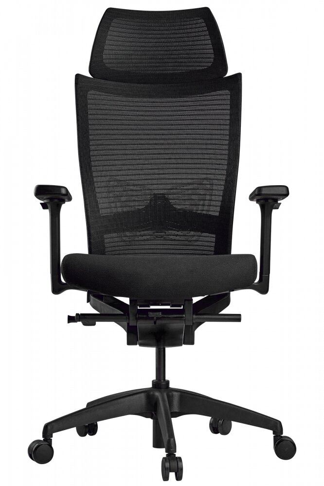 Эргономичное кресло SCHAIRS ZENITH ZEN2-M01B-BK BLACK Производитель: Ю. Корея