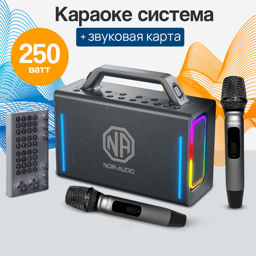 Акустическая система NOIR-audio K-1 с двумя беспроводными микрофонами и караоке 3670000₽