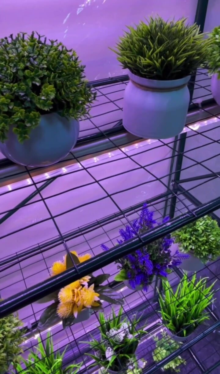 Парник теплица "Green Home", 5 полок, металлический каркас, покрытие ПВХ, зеленый — фото 1