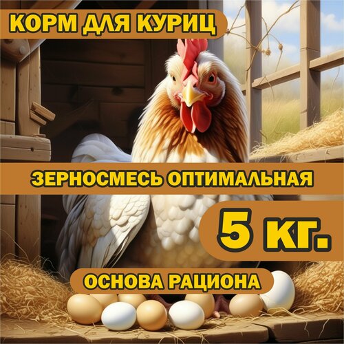 Корм для куриц 5 кг. оптимальный, зерносмесь