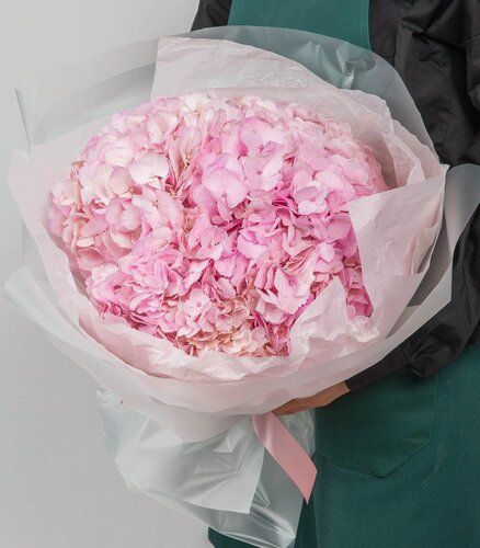 Изображение товара Монобукет StudioFloristic "Зайчик", гортензии, 5шт, обертка, 50см