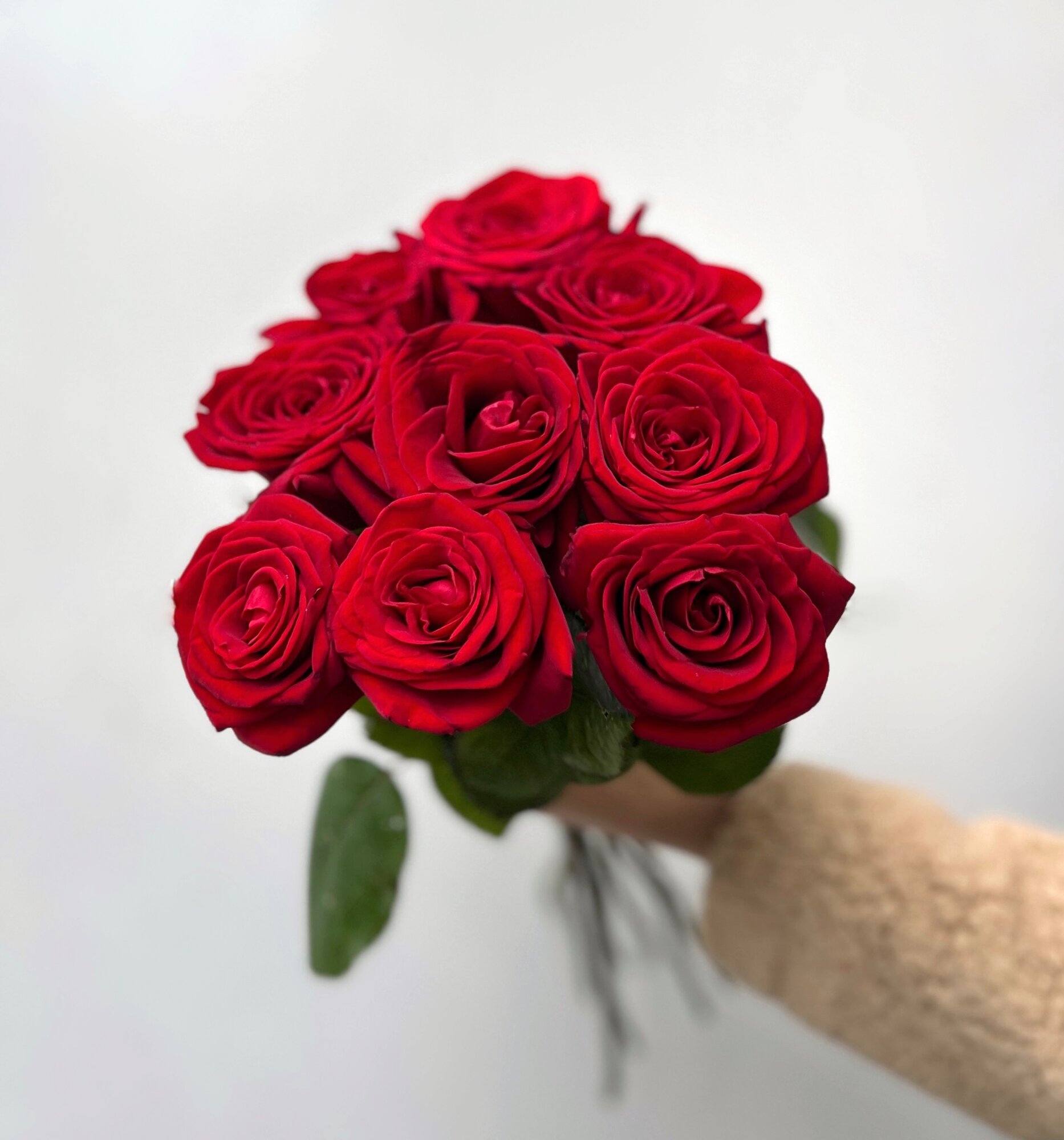 Букет из 9 красных роз высота 50 см цветы с днем рождения букет живых цветов Россия
