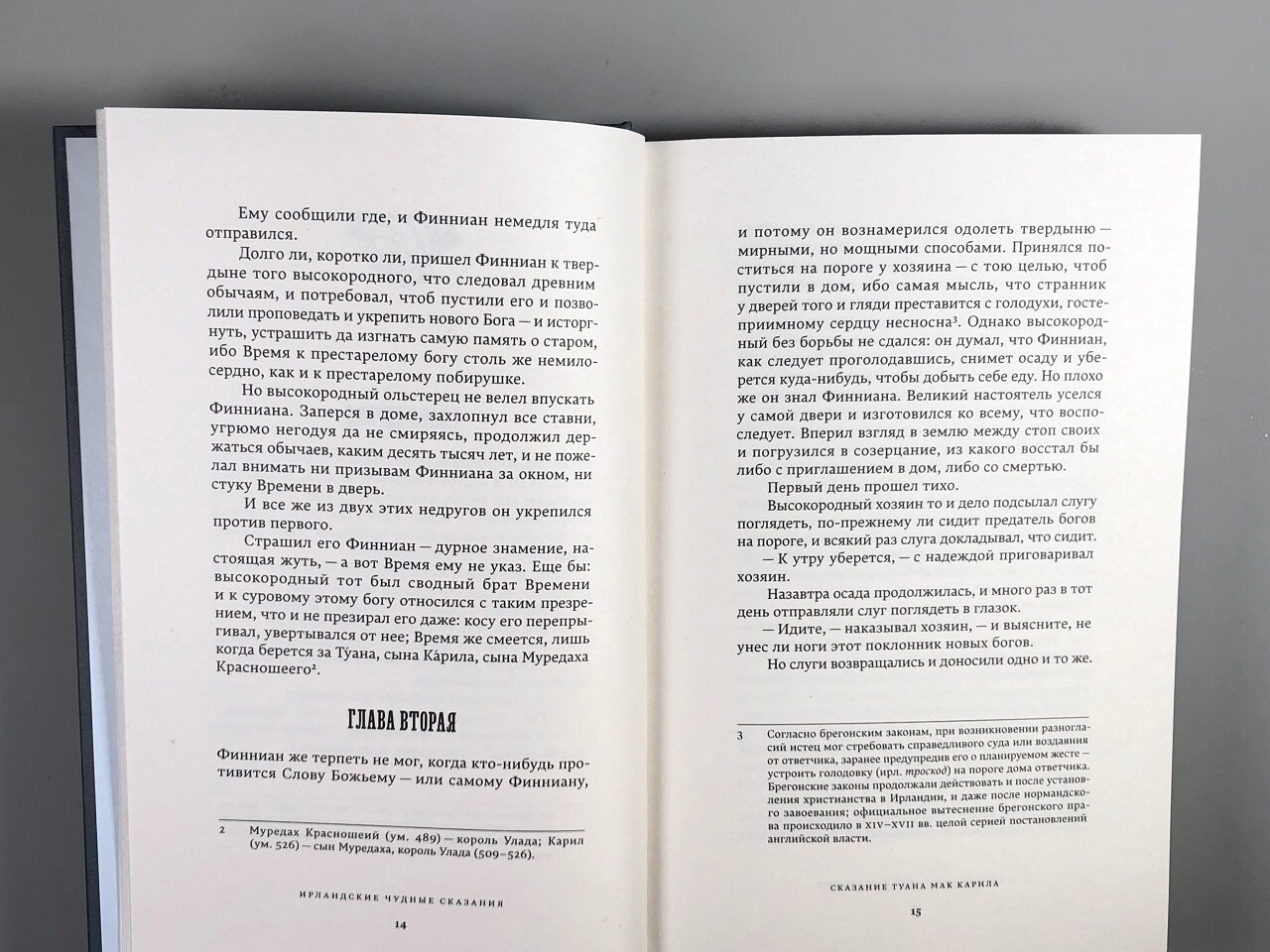 Стивенз Дж. "Ирландские чудные сказания" Подписные издания — фото 1