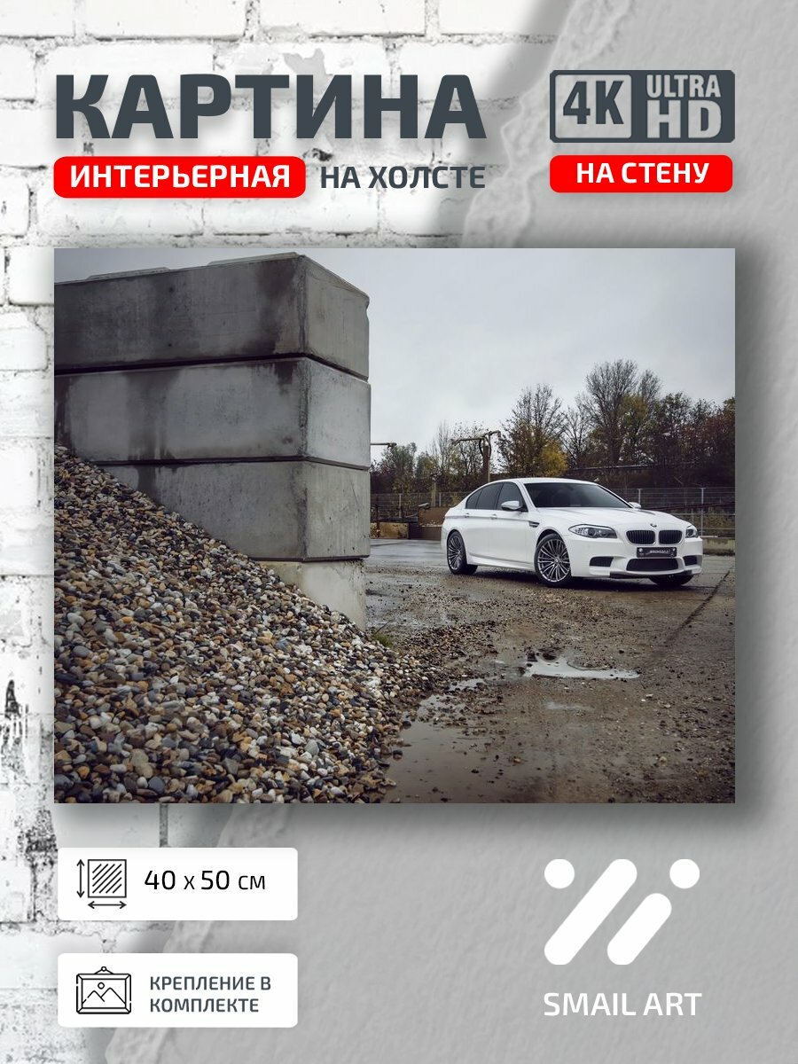 Картина на холсте интерьерная 40 на 50 на стену Белая bmw для киномана авто дизайн интерьер
