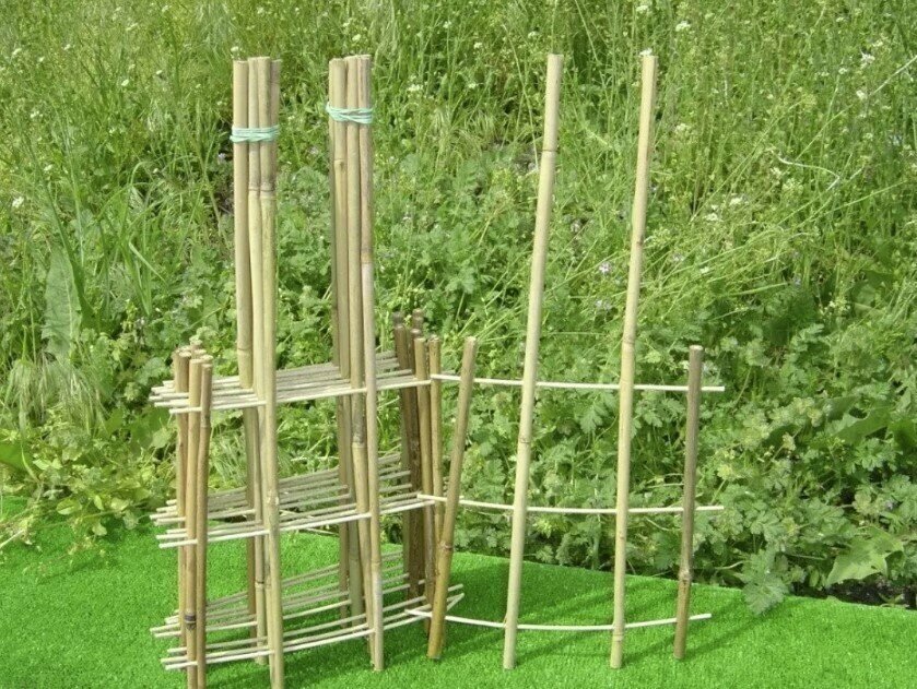 Опора бамбуковая диаметром 6/8мм высотой 60 см, комплект 10 шт, для надежной фиксации вьющихся и слабых растений - фотография № 6