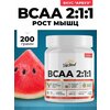 VitaMeal BCAA 2:1:1, порошок 200 гр - изображение