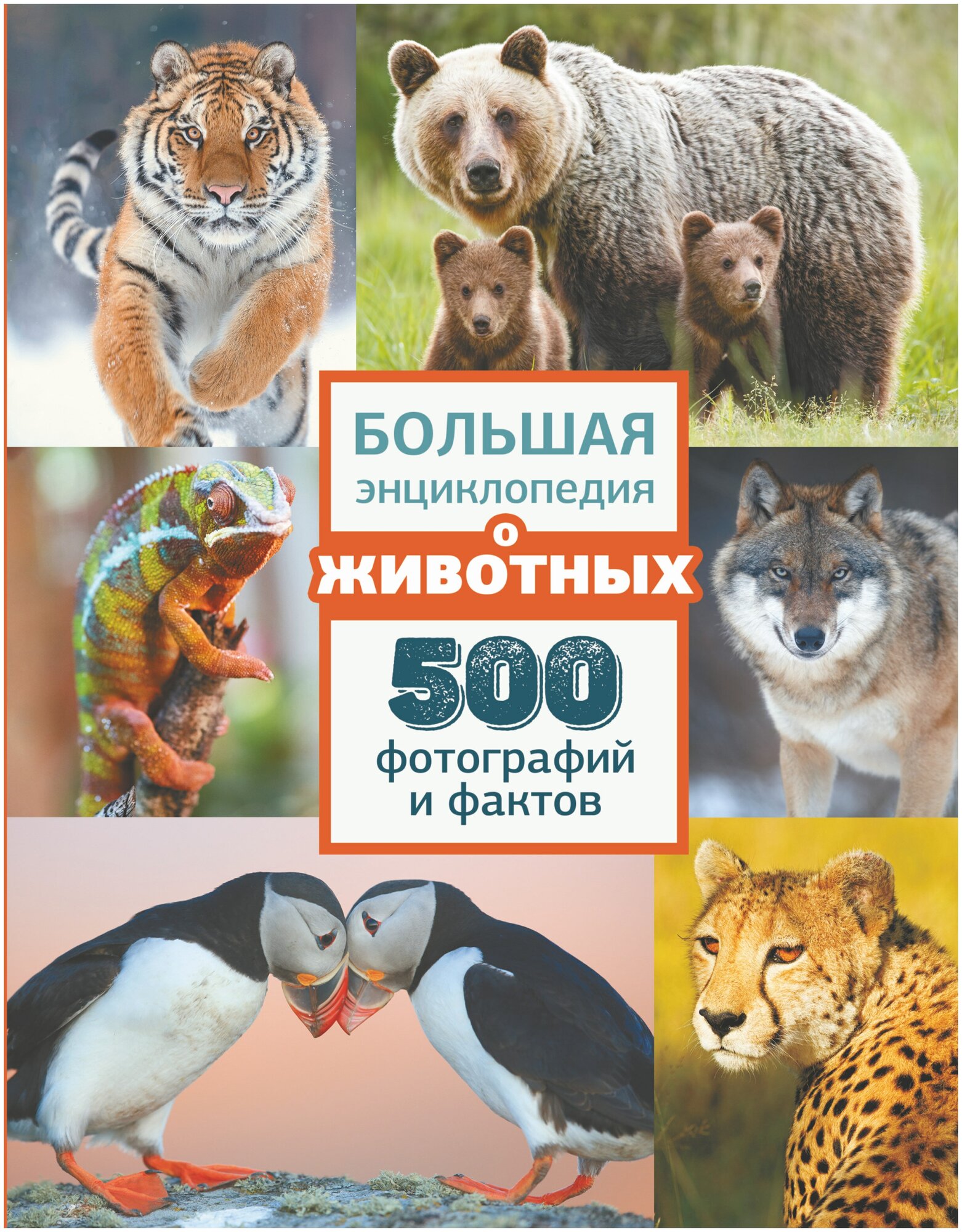 Большая энциклопедия о животных. 500 фотографий и фактов .