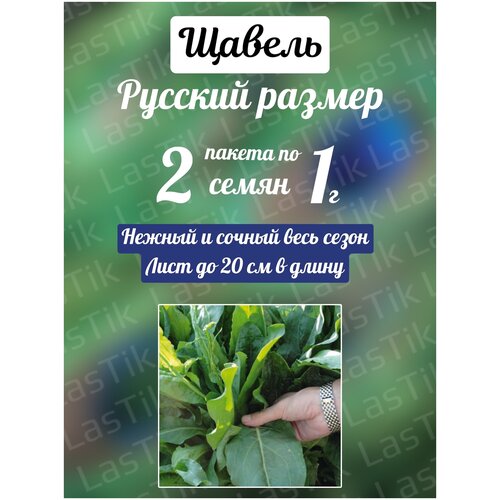 Щавель Русский размер 2 пакета по 1г семян цветы маргаритка конфетти 200% 2 пакета по 0 1г семян