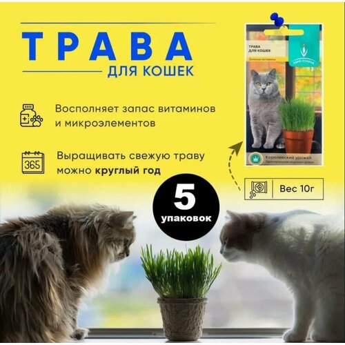 Трава для кошек, лакомство, витамины для кошек, 5 штук