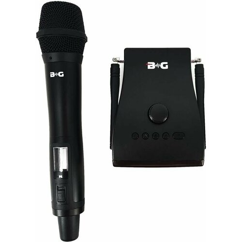 Радиосистема вокальная BG PR-8 2159900₽