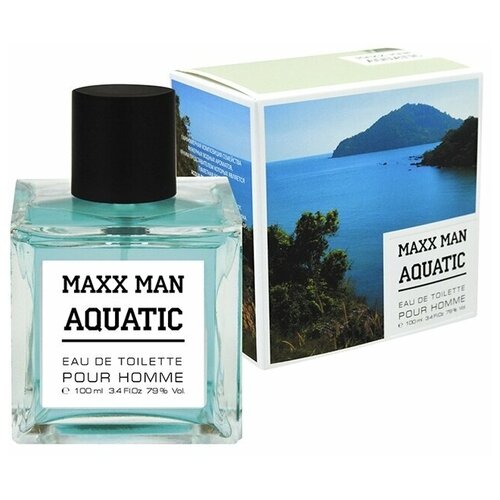 VINCI (Delta parfum) Туалетная вода мужская MAXX MAN AQUATIC мужская туалетная вода maxx man iceland 100мл